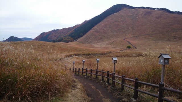 b0148050_1059225.jpg