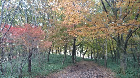 b0148050_10592712.jpg