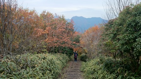 b0148050_1102090.jpg