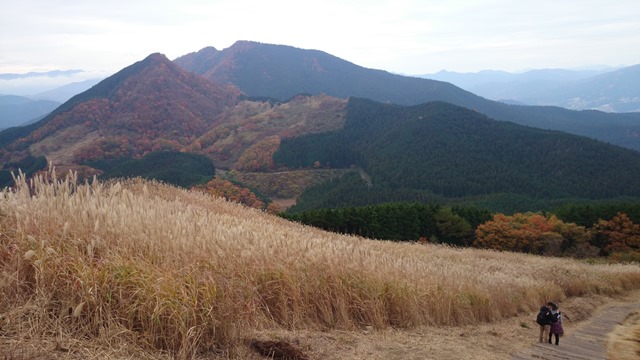 b0148050_11305121.jpg
