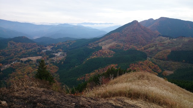 b0148050_1130565.jpg