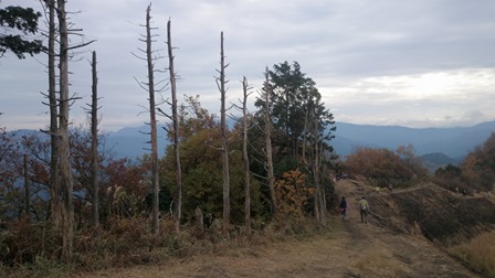 b0148050_11313285.jpg