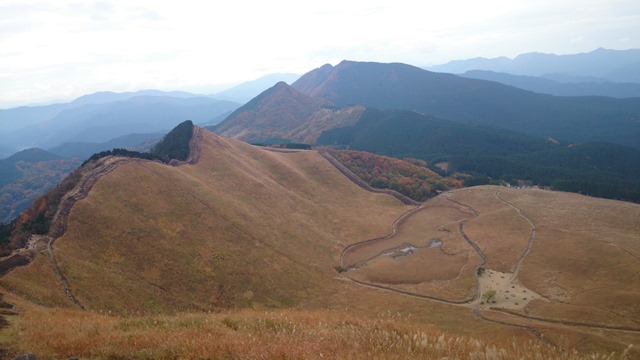 b0148050_11322364.jpg