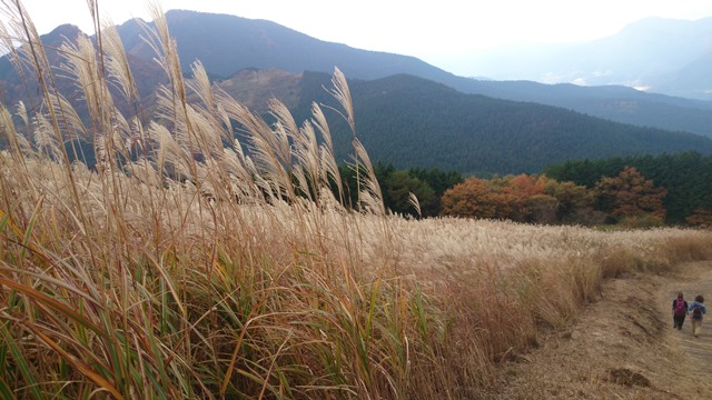 b0148050_1134171.jpg