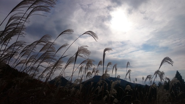 b0148050_113448100.jpg