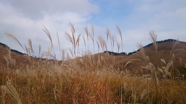 b0148050_11351356.jpg