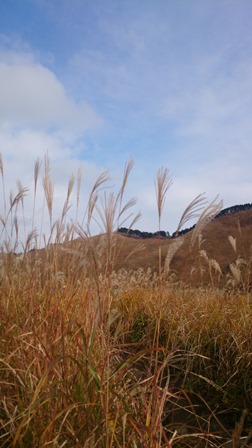 b0148050_1135182.jpg