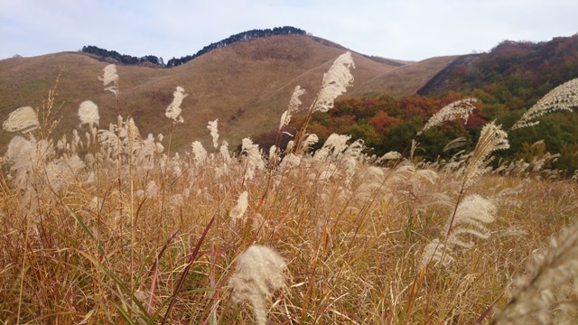 b0148050_1135426.jpg