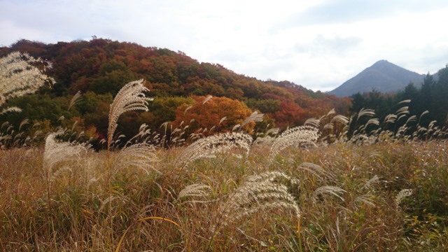 b0148050_1135852.jpg