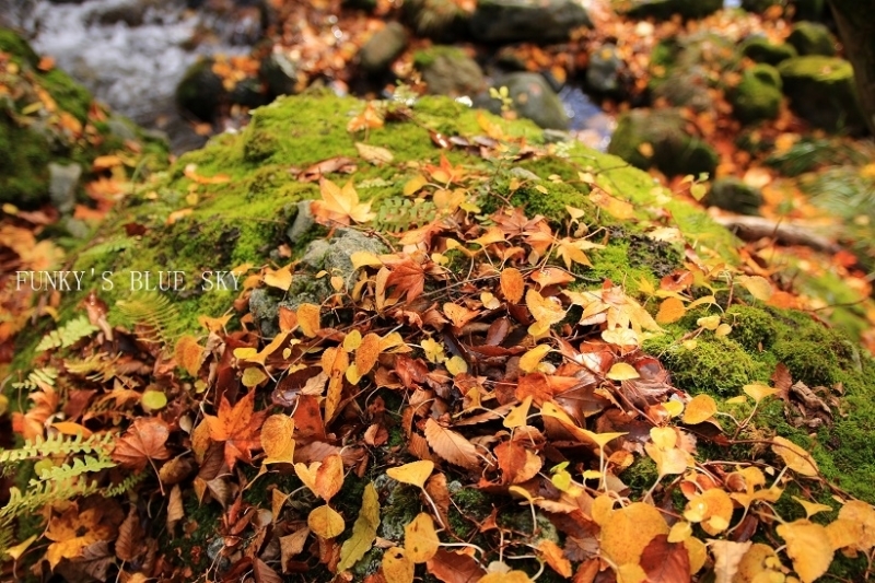 c0145250_15250104.jpg