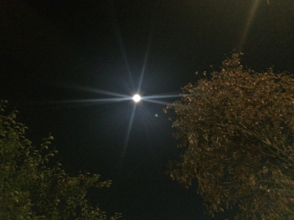 d0232268_11075130.jpg