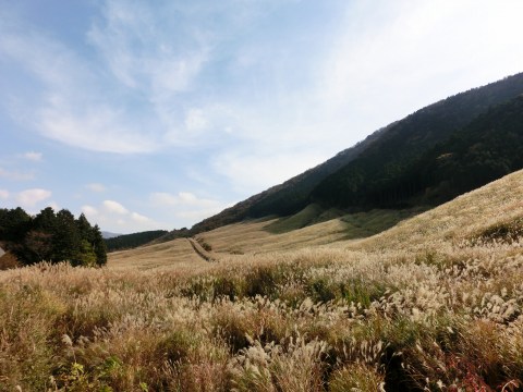 e0045768_2154198.jpg