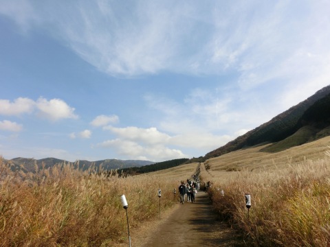 e0045768_21561069.jpg
