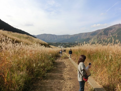e0045768_2210646.jpg