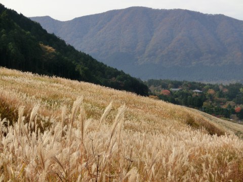 e0045768_22123678.jpg