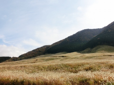 e0045768_22132585.jpg