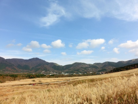 e0045768_2225672.jpg