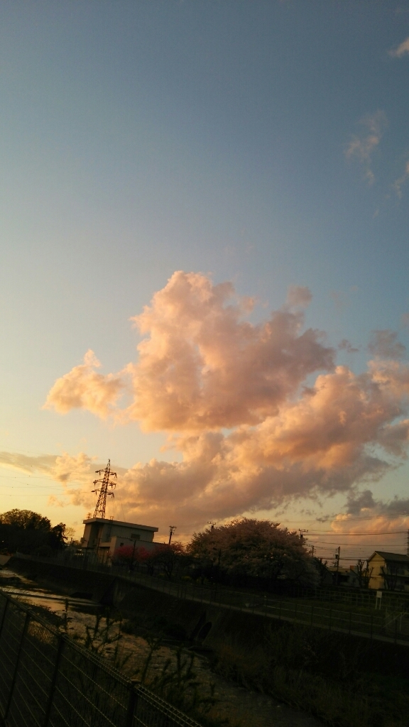 d0177473_08440371.jpg