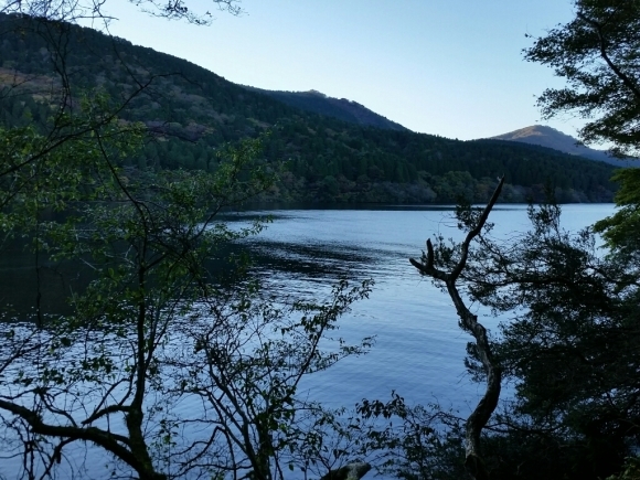 f0199881_15042152.jpg