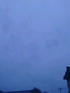 f0127282_11505215.jpg