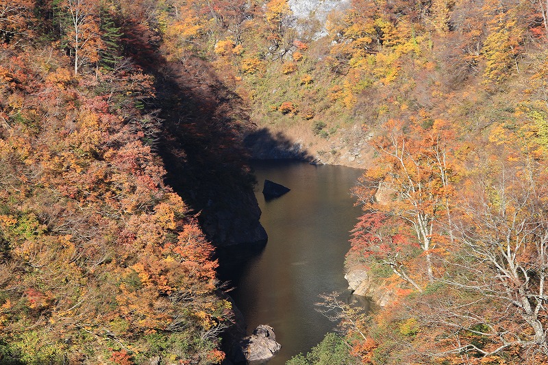 b0207491_16303850.jpg