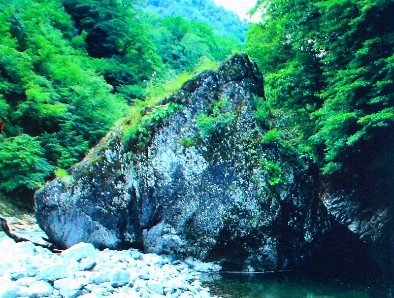 b0207491_16305458.jpg