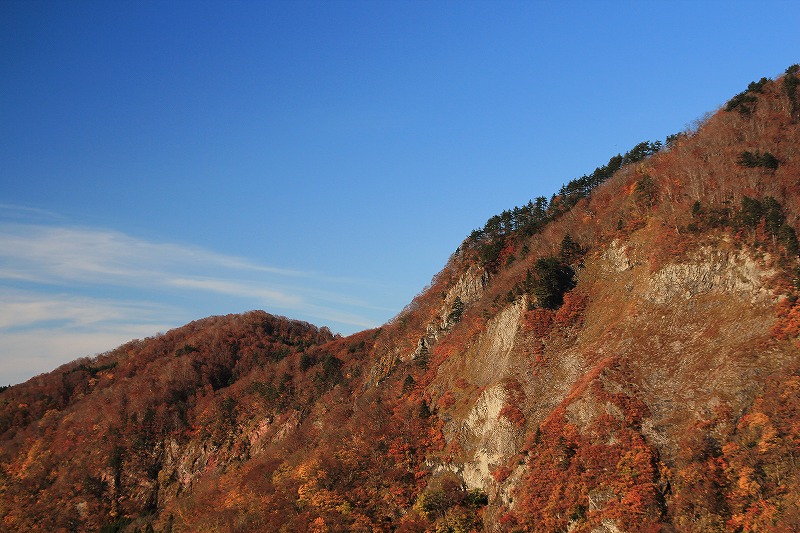 b0207491_16305890.jpg