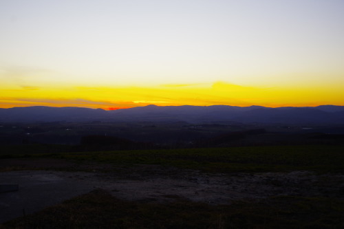 c0352894_11021480.jpg