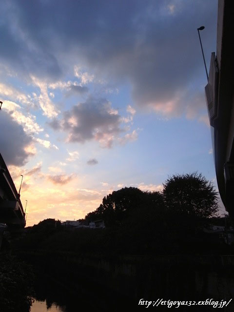 e0250594_21155756.jpg