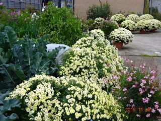 c0149195_22051636.jpg