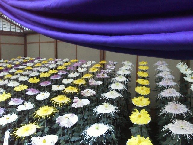 d0124895_15030848.jpg