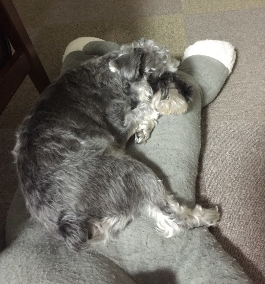 b0188998_23192704.jpeg