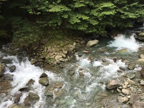 a0218499_17092054.jpg