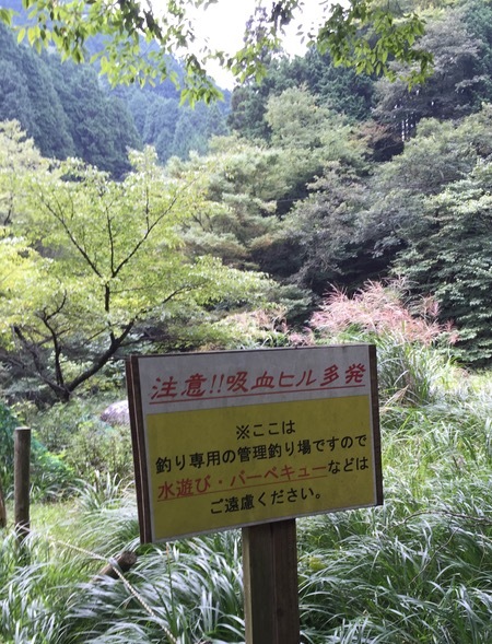 a0218499_17100793.jpg