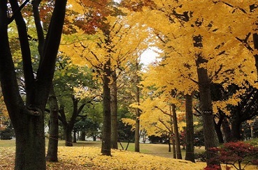 c0357299_00441684.jpg