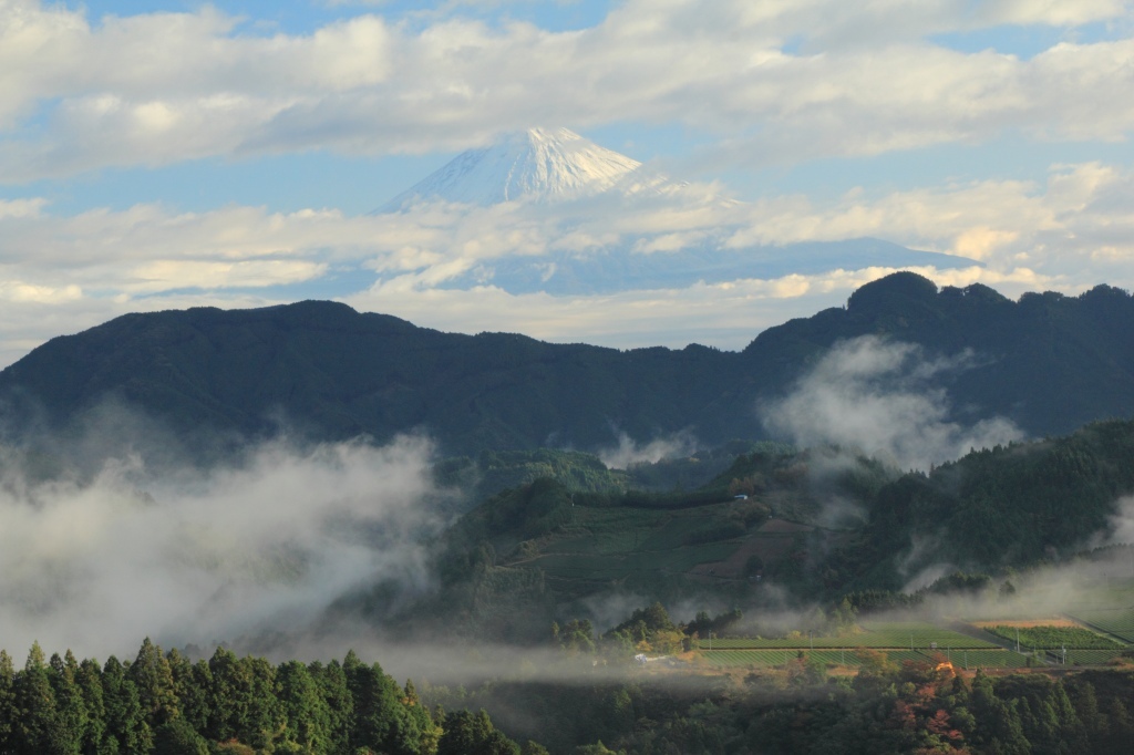 a0188405_09440989.jpg