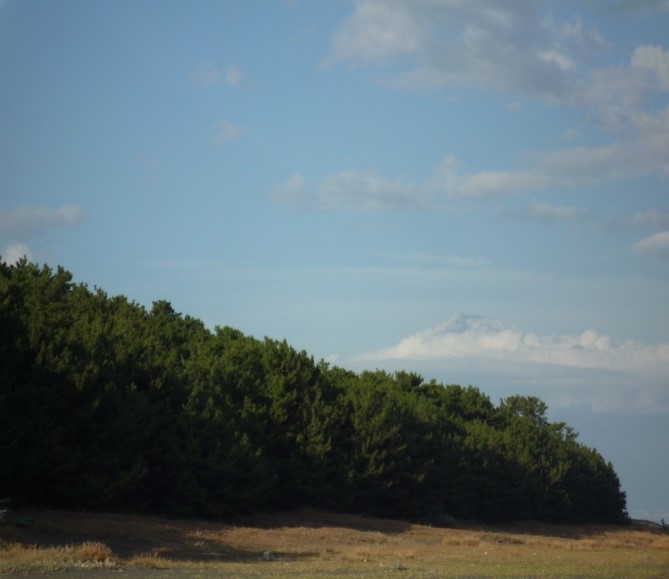 b0273309_1362833.jpg