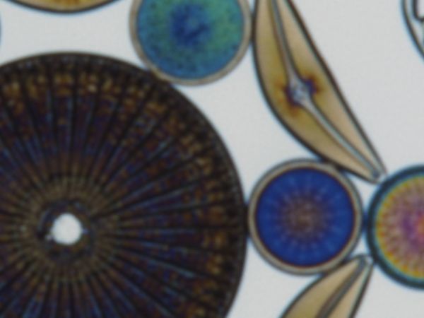 c0164709_21402845.jpg