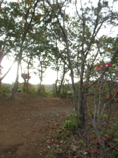 f0208812_17465142.jpg