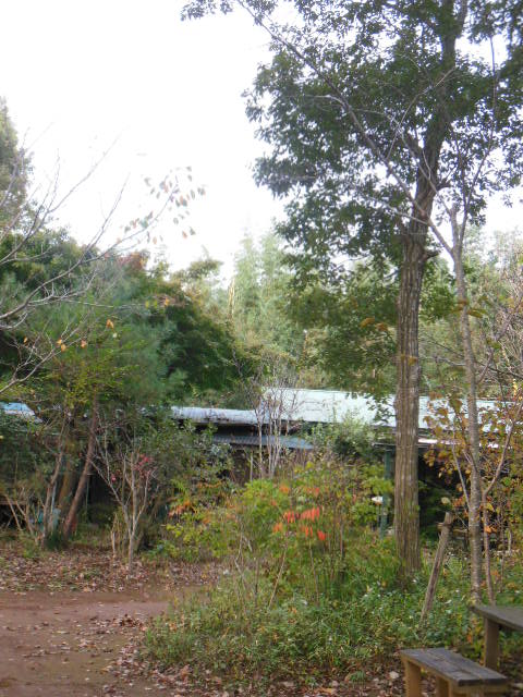 f0208812_17473672.jpg