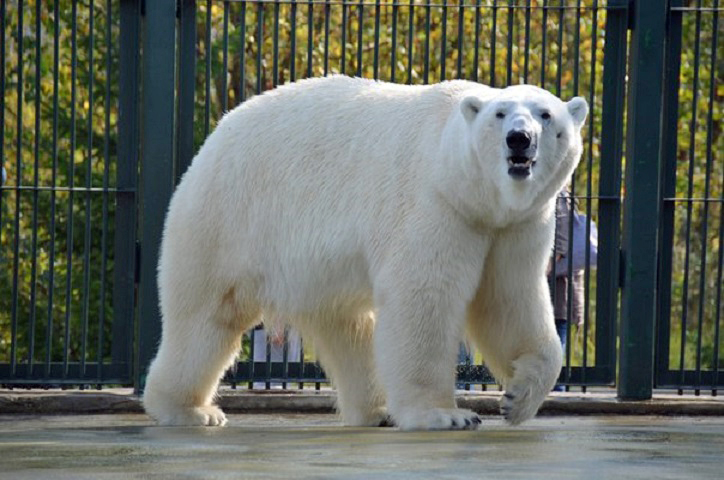 a0151913_2362347.jpg