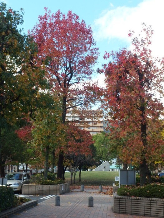 c0116915_014033.jpg