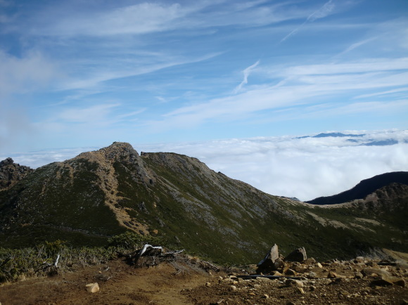 c0210618_22290045.jpg