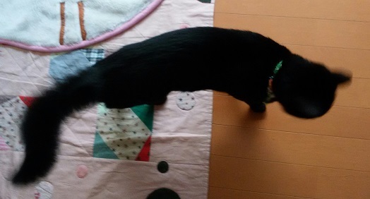c0280322_15533699.jpg