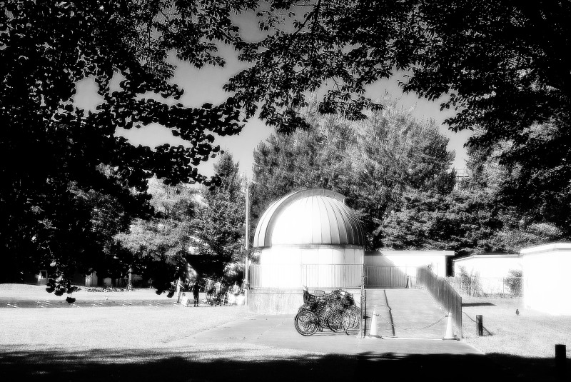 c0109827_178118.jpg