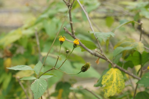 f0257756_1205064.jpg