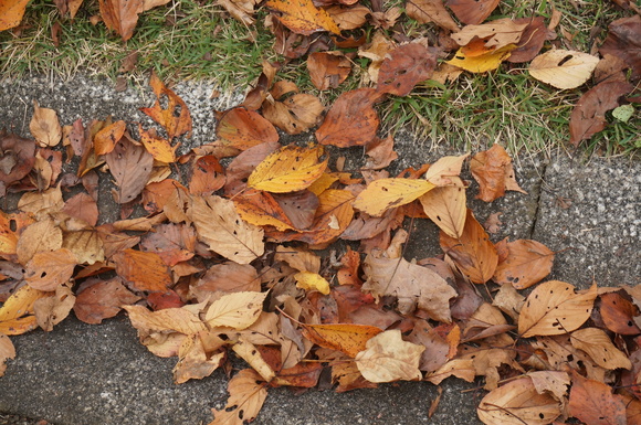 f0257756_191381.jpg