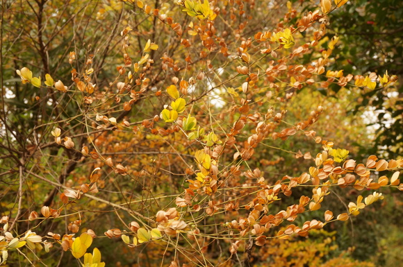 f0257756_19631.jpg