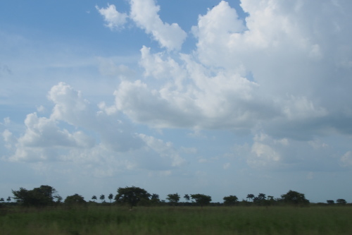 c0351060_16155628.jpg