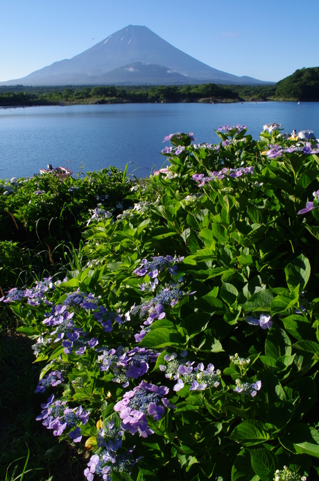 d0229560_2119697.jpg